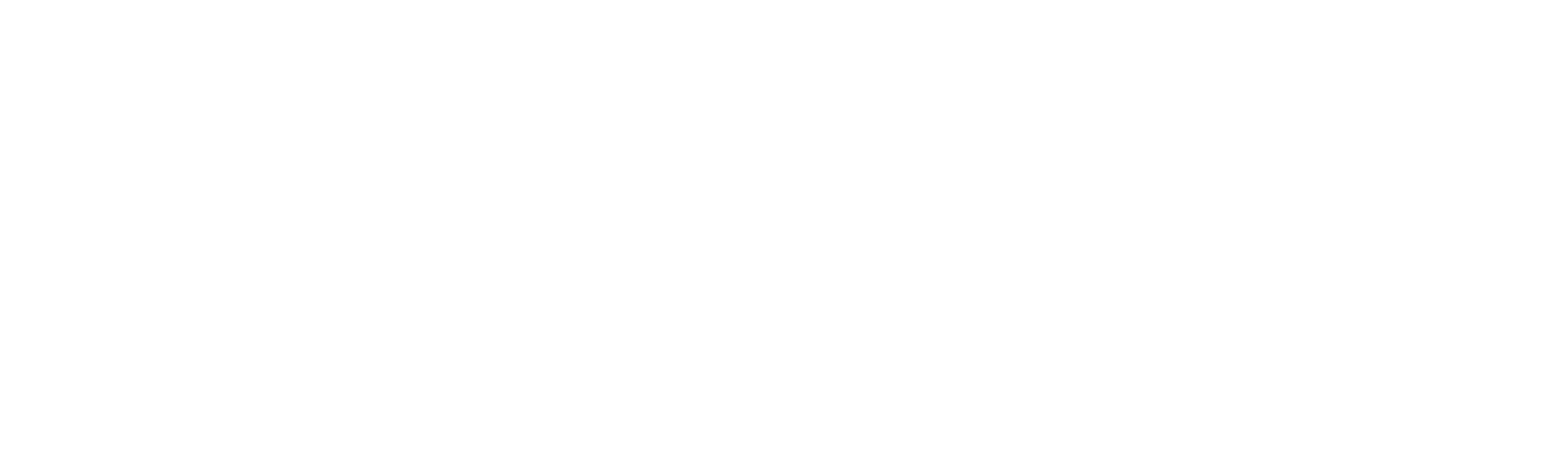Koala Security Logo